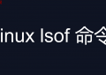 linux lsof 命令详解 获取被打开文件的信息--List Open Files