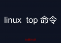 linux top 命令 查看当前的进程状态 动态